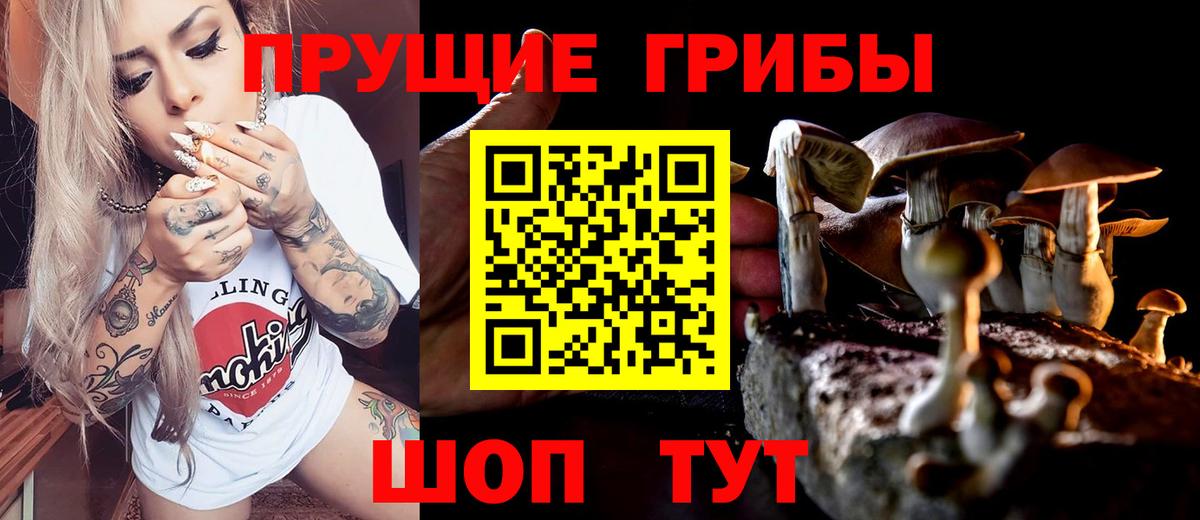 Галлюциногенные грибы прущие грибы  Псилоцибиновые грибы мицелий  Вход с VPN  Анапа 