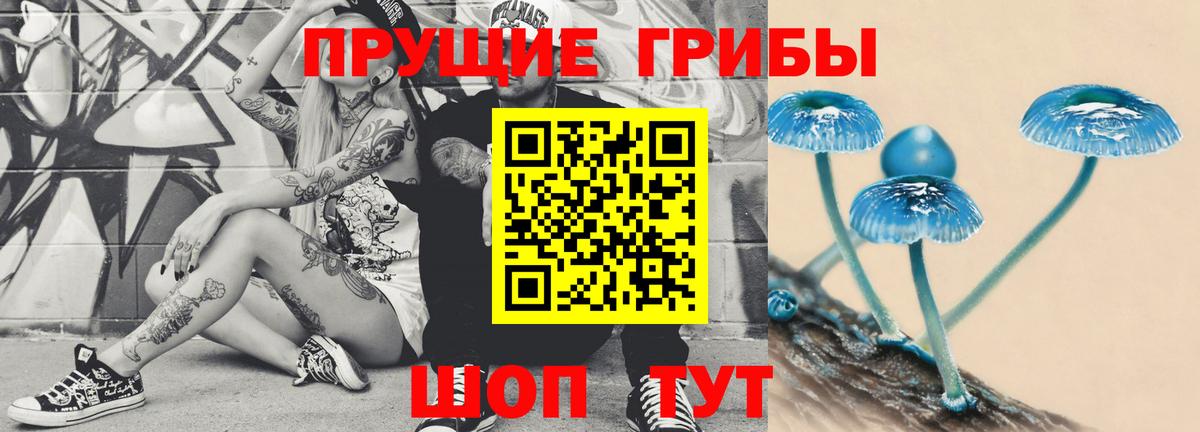 Бошки Шишки Анапа